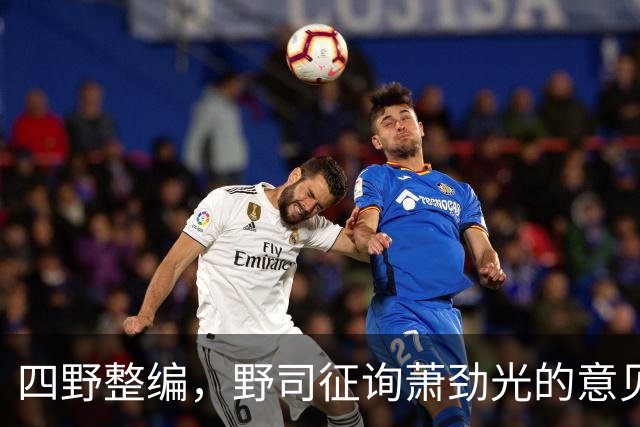 四野整编，野司征询萧劲光的意见，他说：第12兵团加一个副司令
