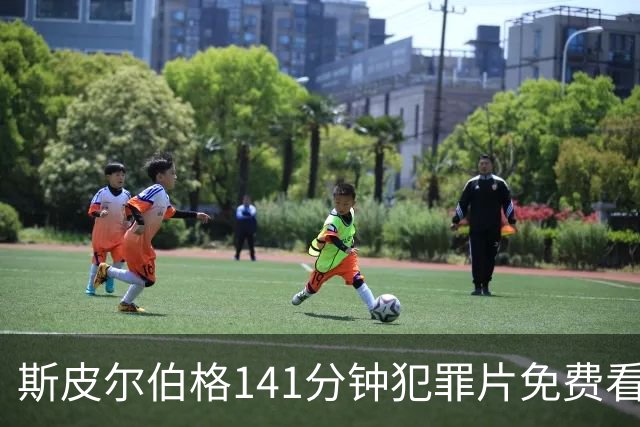 斯皮尔伯格141分钟犯罪片免费看，被低估的佳作
