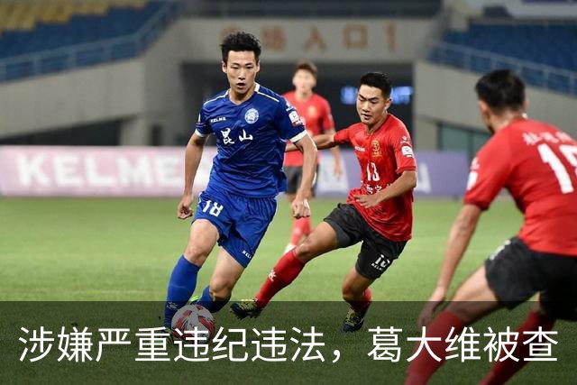 涉嫌严重违纪违法，葛大维被查